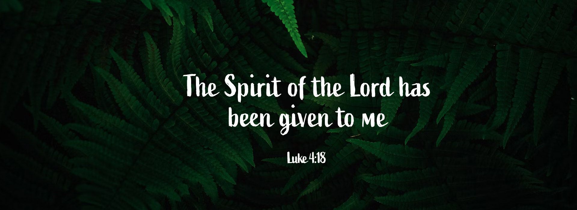 Third Sunday in Ordinary Time